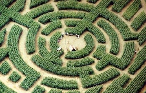 le labyrinthe