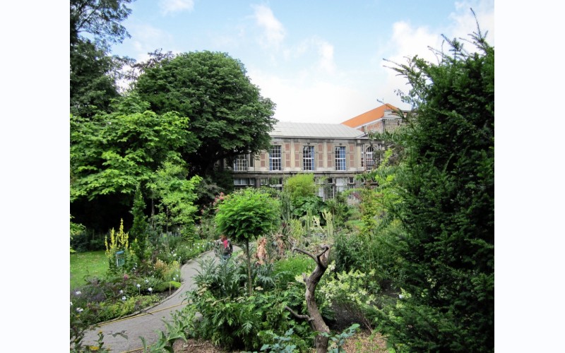 Plantentuin van Antwerpen