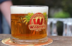 Brouwerij & Alcoholstokerij Wilderen